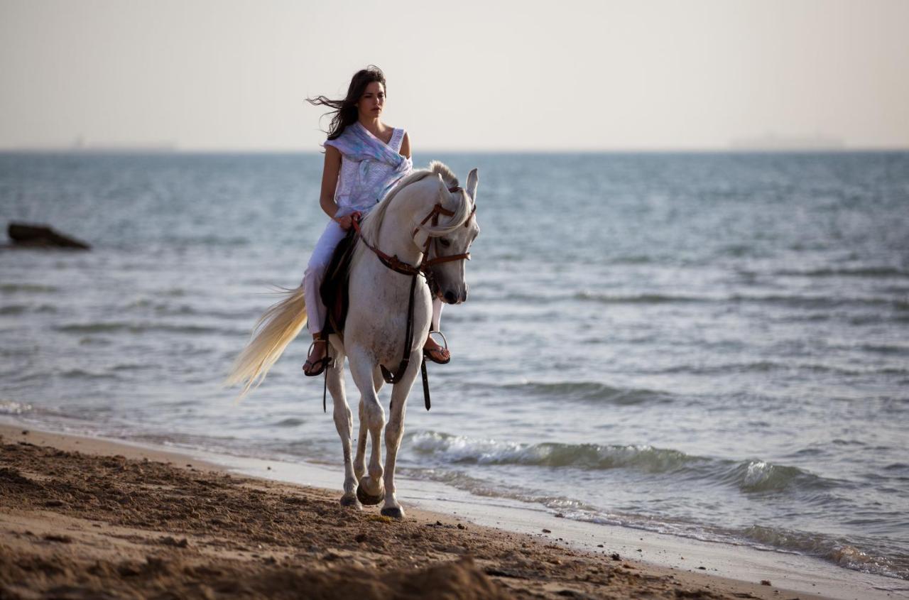 Mousa Coast Hotel & Spa Ras Sedr Bagian luar foto